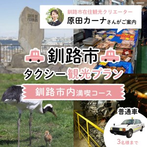 【期間限定！寄附額改定↓！】釧路市在住観光クリエーター　原田カーナさんがご案内する釧路市タクシー観光プラン　釧路市内満喫コース（普通車） F4F-5955