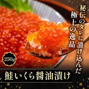 北の味覚海鮮3点セット いくら250g サーモン400g ほたて500g 海鮮丼