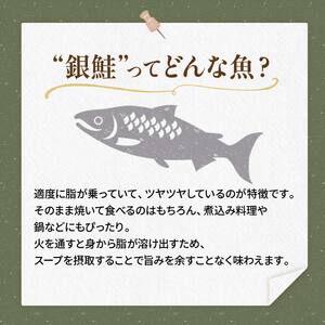 【特選】特盛銀鮭切り身 約3kg サケ さけ 銀鮭 ぎんしゃけ ご飯のお供 北海道 海産物 魚 お弁当 おかず 朝食 F4F-2252