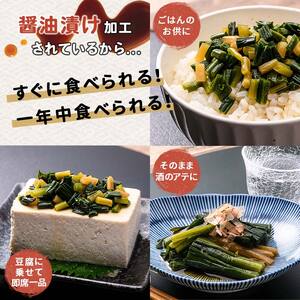 行者にんにく醤油漬120g 3袋セット 北海道 山菜 ヒトビロ アイヌネギ ギョウジャニンニク ご飯のおとも F4F-2220 | 北海道釧路市 |  ふるさと納税サイト「ふるなび」