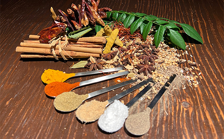 【期間限定！寄附額改定↓！】ひだまり薬膳スパイスカレー 4個  通常発送 F4F-2909