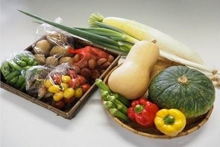 No.002 四街道の厳選地元野菜の詰め合わせ / 季節野菜 旬 詰合せ セット 千葉県 特産品