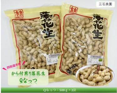 No.349 から付煎り落花生 「Qなっつ」 500g×2袋 / 豆 から付 おつまみ 千葉県 特産品