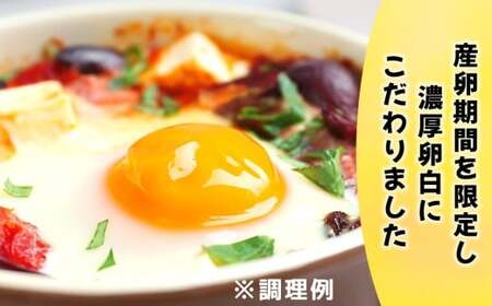 ぷりんセス・エッグ 30個『北川鶏園 房総のあおぞら農場』｜たまご タマゴ 玉子 卵 ブランドたまご 産みたて 新鮮 プレミアム プリンセスエッグ ぷりんせすえっぐ [0250]