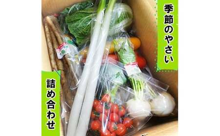 袖ケ浦の大地の恵み 季節のやさい詰め合わせ [0038]