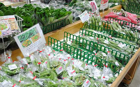 袖ケ浦の大地の恵み 季節のやさい詰め合わせ [0038]