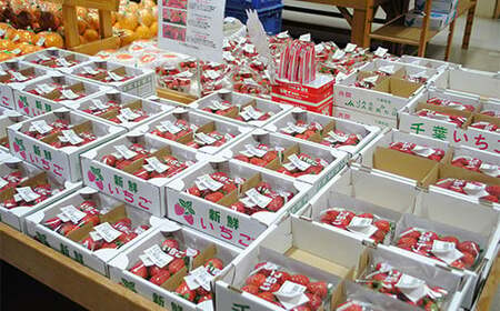 袖ケ浦の大地の恵み 季節のやさい詰め合わせ [0038]