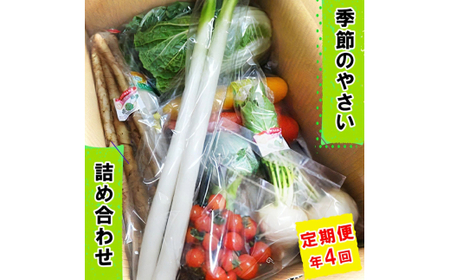 [定期便／年4回] 袖ケ浦市の大地のめぐみ 季節のやさい詰め合わせ [0135]