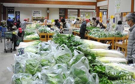 [定期便／年4回] 袖ケ浦市の大地のめぐみ 季節のやさい詰め合わせ [0135]