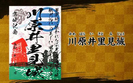 袖ケ浦市「御城印」3枚セット (川原井里見城・小坪館・蔵波城)｜袖ケ浦 城 史跡 歴史 山城 ガール むつみ デザイン カード 城郭 記念 [0418ch]