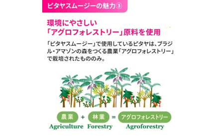 [定期便／3ヶ月] ピタヤスムージー 195g×計45本 (15本×3回)【甘味料・香料・着色料未使用】｜ピタヤ ドラゴンフルーツ ザクロ ジュース フルーツ 果物 くだもの 濃厚 ポリフェノール ベタシアニン エラグ酸 朝食 おやつ 紙 カートカン 袖ケ浦 千葉 [0695]