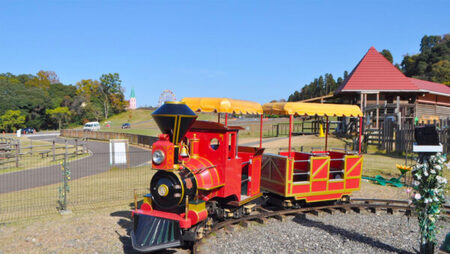 東京ドイツ村 入園チケット 1枚+アトラクション1dayパスポート 1名様｜旅行 観光 あそぶ 立ち寄り スポット デーマパーク レジャー チケット 見どころ アクアライン 房総 千葉 [0625]