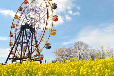 東京ドイツ村 アトラクション1dayパスポート 5名様分｜旅行 観光 あそぶ 立ち寄り スポット デーマパーク レジャー チケット 見どころ アクアライン 房総 千葉 [0631]
