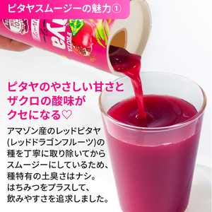 [定期便／3ヶ月] ピタヤスムージー 195g×計90本 (30本×3回)【甘味料・香料・着色料未使用】｜ピタヤ ドラゴンフルーツ ザクロ ジュース フルーツ 果物 くだもの 濃厚 ポリフェノール ベタシアニン エラグ酸 朝食 おやつ 紙 カートカン 袖ケ浦 千葉 [0697]