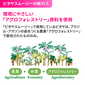 [定期便／3ヶ月] ピタヤスムージー 195g×計90本 (30本×3回)【甘味料・香料・着色料未使用】｜ピタヤ ドラゴンフルーツ ザクロ ジュース フルーツ 果物 くだもの 濃厚 ポリフェノール ベタシアニン エラグ酸 朝食 おやつ 紙 カートカン 袖ケ浦 千葉 [0697]