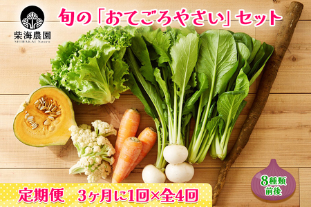 [定期便 3ヶ月ごと4回お届け] 柴海農園 旬の「おてごろやさい」セット (8種類前後) [0227]