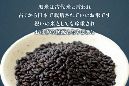 古代米 あげもち《醤油・しお》10袋セット｜せんべい 煎餅 古代米 もち米 揚げ餅 栄養 健康 丸善 印西 [0456]