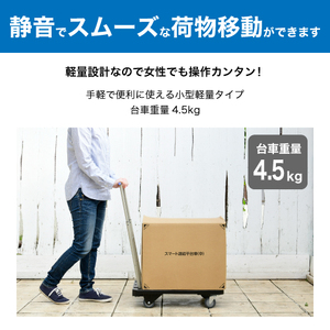 コンパクトキャリー (積載荷重100kg) YNC-6040B ナンシン｜台車 カート 折りたたみ フラット 平台車 静音 キャスター [0525]