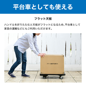コンパクトキャリー (積載荷重100kg) YNC-6040B ナンシン｜台車 カート 折りたたみ フラット 平台車 静音 キャスター [0525]