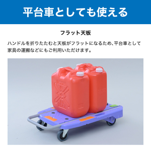 コンパクトキャリー ストッパー＆荷崩れ防止ガイド付き (積載荷重150kg) ピタッと止まる静運キャリー YNC-7050RB ナンシン｜台車 カート 折りたたみ フラット 平台車 静音 キャスター ブレーキ [0526]