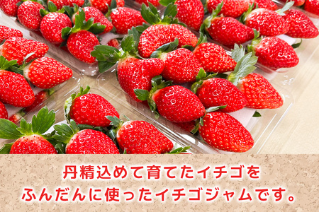 和田農園 イチゴジャム 3瓶セット｜いちご 苺 ジャム 直送 フルーツ 砂糖不使用 印西 千葉 [0488]