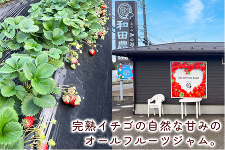 和田農園 イチゴジャム 3瓶セット｜いちご 苺 ジャム 直送 フルーツ 砂糖不使用 印西 千葉 [0488]