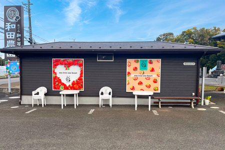 和田農園《4月》平日限定 いちご狩りチケット｜いちご 苺 体験 食べ放題 時間無制限 印西 千葉 [0533]
