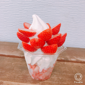 和田農園《4月》平日限定 いちご狩りチケット｜いちご 苺 体験 食べ放題 時間無制限 印西 千葉 [0533]