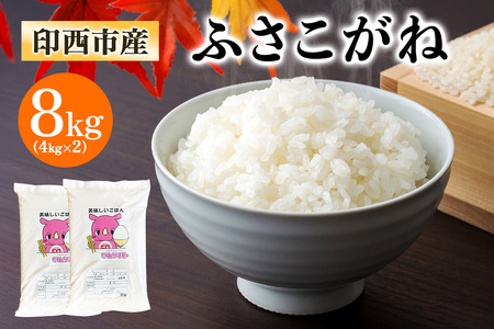 新米 ふさこがね 令和7年産 印西市産 美味しいごはん 8kg｜おこめ 米 精米 [0522]