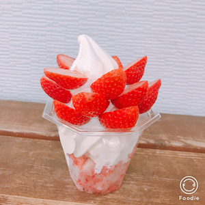 和田農園《3月》平日限定 いちご狩りチケット｜いちご 苺 体験 食べ放題 時間無制限 印西 千葉 [0532]