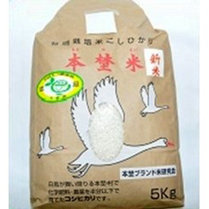 白鳥の郷 本埜米 (こしひかり) 令和6年産 8kg｜おこめ コシヒカリ 産地 直送 千葉 印西 [0477]