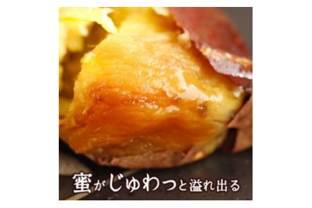 冷たい焼き芋 500g×12袋入 素材そのまま！工場直送 [0231]