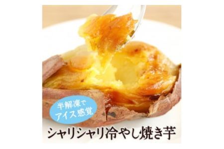 冷たい焼き芋 500g×12袋入 素材そのまま！工場直送 [0231]