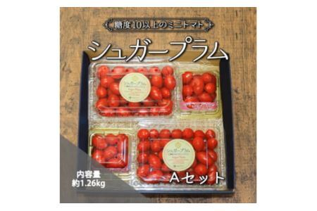 完熟ミニトマト シュガープラムギフト Cセット｜甘い プチトマト 野菜 フルーツ とまと ギフト プレゼント 贈答 お中元 お歳暮 [0232]