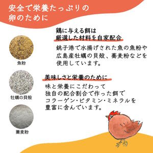 今井のたまご 30個 10個×3箱 2L L ミックス 卵