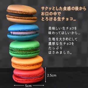 大きな生チョコマカロン 生マカロン 5個入 生チョコ 焼き菓子 マカロン