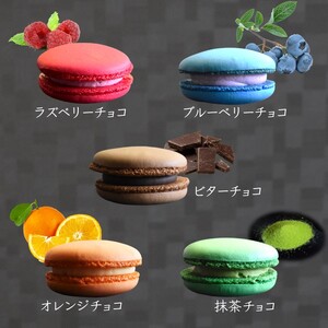 大きな生チョコマカロン 生マカロン 5個入 生チョコ 焼き菓子 マカロン