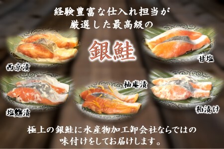 漬け魚 5種食べ比べセット 銀鮭 西京漬け 粕漬け 甘塩 塩麹漬 幽庵漬 詰め合わせ 骨取り 骨抜き 骨なし 小分け 切り身 冷凍