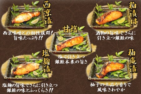 漬け魚 5種食べ比べセット 銀鮭 西京漬け 粕漬け 甘塩 塩麹漬 幽庵漬 詰め合わせ 骨取り 骨抜き 骨なし 小分け 切り身 冷凍