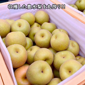 梨ジュース 720ml×3本 梨果汁100％ ストレートジュース 果汁100% 果汁飲料 梨 フルーツジュース ギフト 贈り物 ジュース 丸絞り