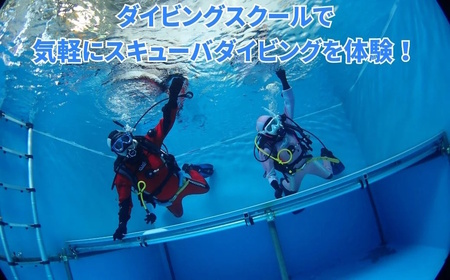 ペアでダイビング体験 ダイビング専用プール貸切り 3時間 初心者歓迎 貸切体験  千葉 スクーバダイビング 体験ダイビング アクティビティ PADIダイビングスクール おすすめ ペア 体験チケット 初心者歓迎 プール 関東 遊び