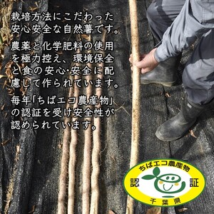 自然薯 1kg 箱入り 減農薬 減化学肥料 千葉県 白井市産 山芋 とろろご飯 山かけご飯 おすすめ お歳暮 贈り物 ギフト 粘り強い ちばエコ農産物