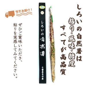 自然薯 1kg 箱入り 減農薬 減化学肥料 千葉県 白井市産 山芋 とろろご飯 山かけご飯 おすすめ お歳暮 贈り物 ギフト 粘り強い ちばエコ農産物