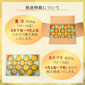 【先行予約】しろいの梨２品種セット 豊水とあきづき 各5kg