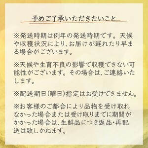 【先行予約】しろいの梨２品種セット 豊水とあきづき 各5kg