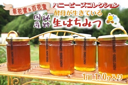 国産純粋生はちみつ ハニービーズコレクション“しろいの季節”のはちみつ 170g 純粋はちみつ 非加熱 添加物なし 百花蜜 単花蜜 国産はちみつ 生はちみつ100% 美味しい