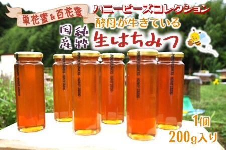 国産純粋生はちみつ ハニービーズコレクション“しろいの季節” 200g 純粋はちみつ 非加熱 添加物なし 百花蜜 単花蜜 国産はちみつ 生はちみつ100% 美味しい