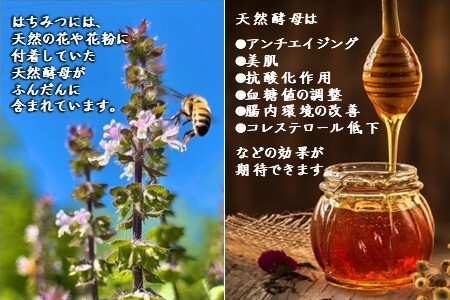 国産純粋生はちみつ ハニービーズコレクション“しろいの季節” 200g 純粋はちみつ 非加熱 添加物なし 百花蜜 単花蜜 国産はちみつ 生はちみつ100% 美味しい