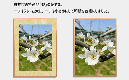 ポスターフレーム 前開き式 スリムエイト B2 木目柄 メイプル アルミ額縁 ソフケン フレーム 軽量 アルミフレーム 壁掛け 壁飾り