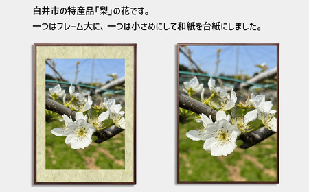 ポスターフレーム 前開き式 スリムエイト B2 木目柄 ブラックウォールナット アルミ額縁 ソフケン フレーム 軽量 アルミフレーム 壁掛け 壁飾り